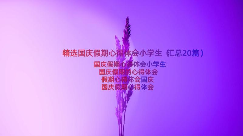 精选国庆假期心得体会小学生（汇总20篇）