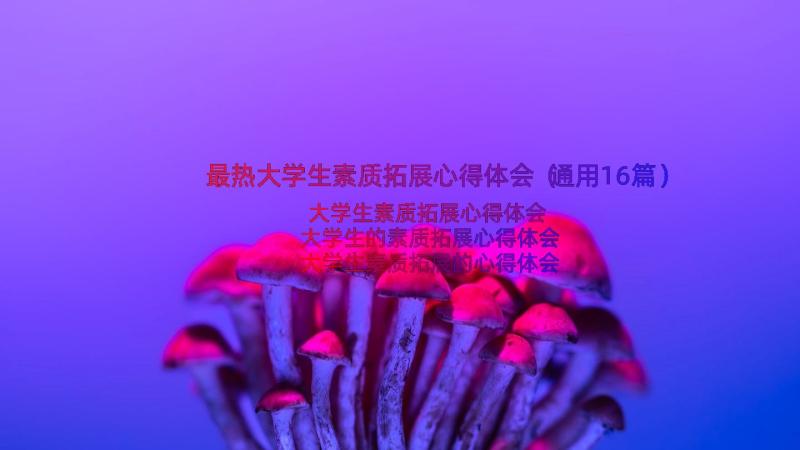 最热大学生素质拓展心得体会（通用16篇）