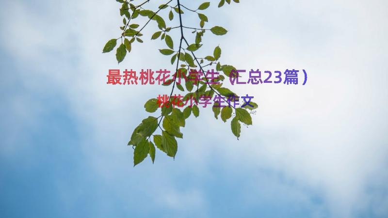 最热桃花小学生（汇总23篇）