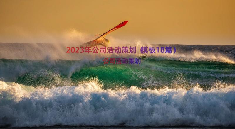 2023年公司活动策划（模板18篇）