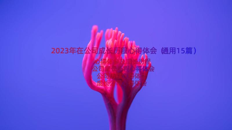 2023年在公司成长历程心得体会（通用15篇）