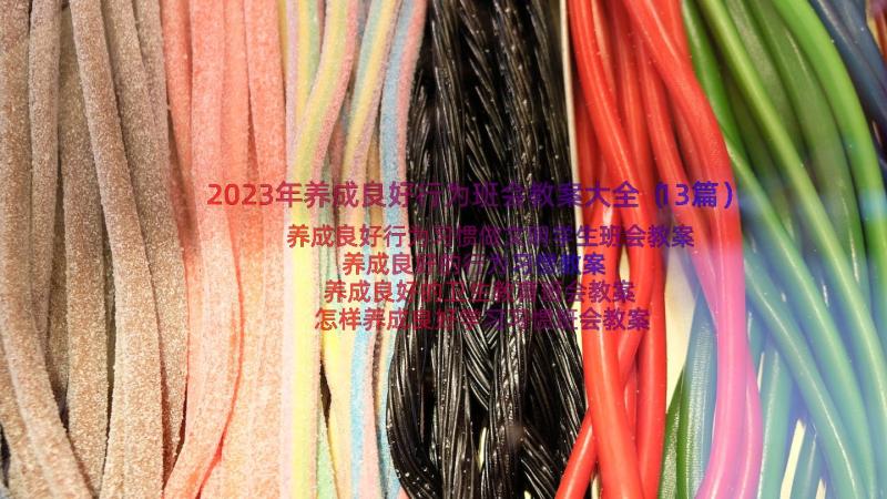 2023年养成良好行为班会教案大全（13篇）