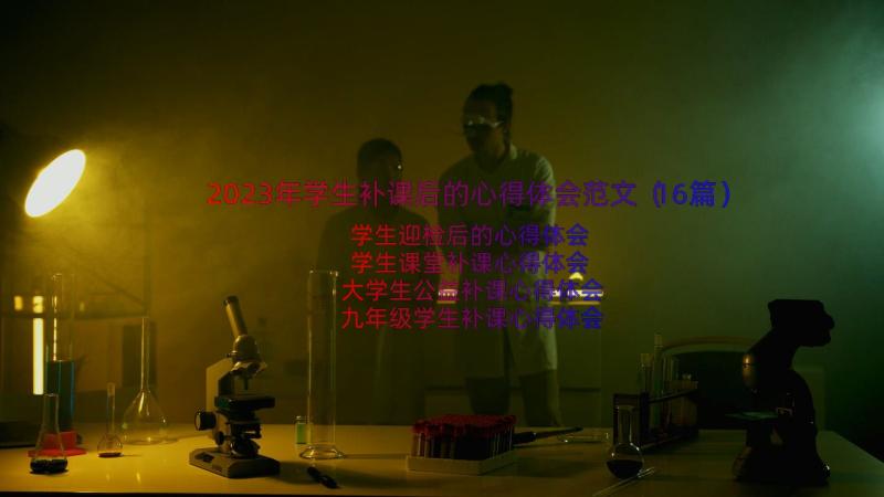 2023年学生补课后的心得体会范文（16篇）