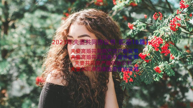 2023年夫妻共同协议书（汇总16篇）