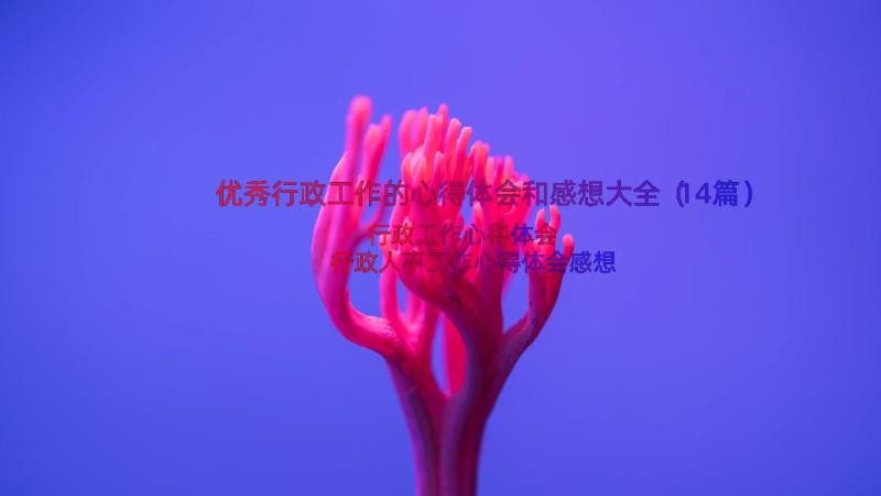 优秀行政工作的心得体会和感想大全（14篇）