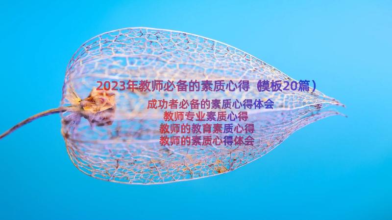 2023年教师必备的素质心得（模板20篇）