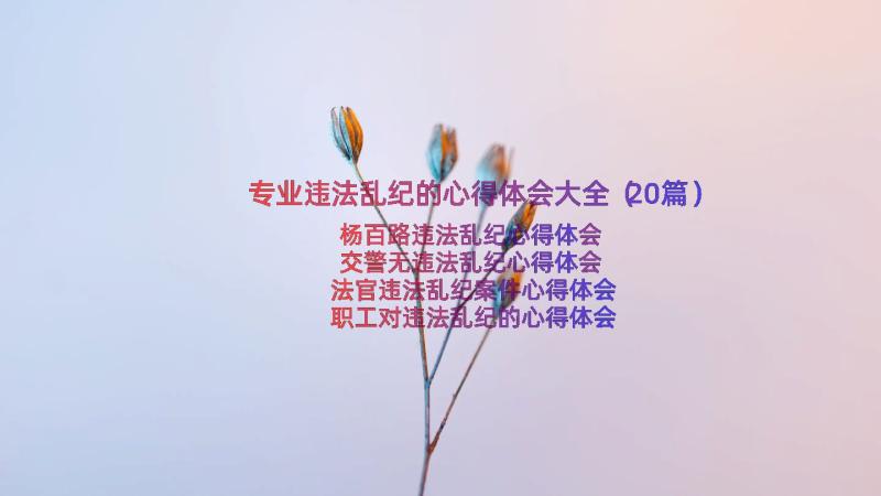 专业违法乱纪的心得体会大全（20篇）