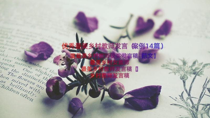 优秀最美乡村教师发言（案例14篇）