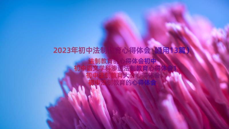 2023年初中法制教育心得体会（通用13篇）