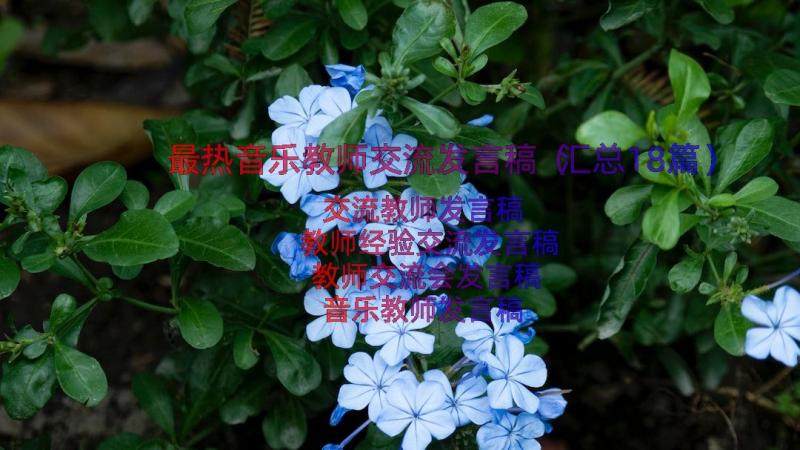 最热音乐教师交流发言稿（汇总18篇）