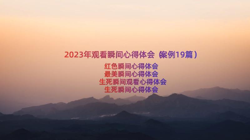 2023年观看瞬间心得体会（案例19篇）