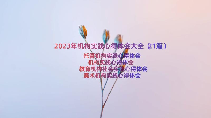 2023年机构实践心得体会大全（21篇）