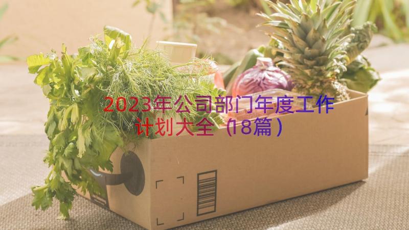 2023年公司部门年度工作计划大全（18篇）