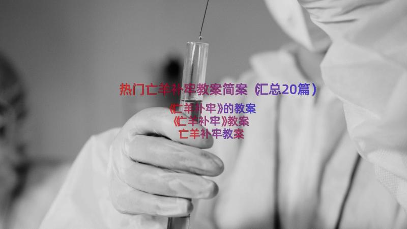 热门亡羊补牢教案简案（汇总20篇）