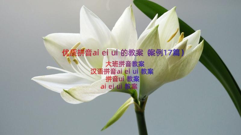 优质拼音aieiui的教案（案例17篇）