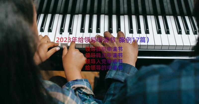 2023年给领导申请书（案例17篇）