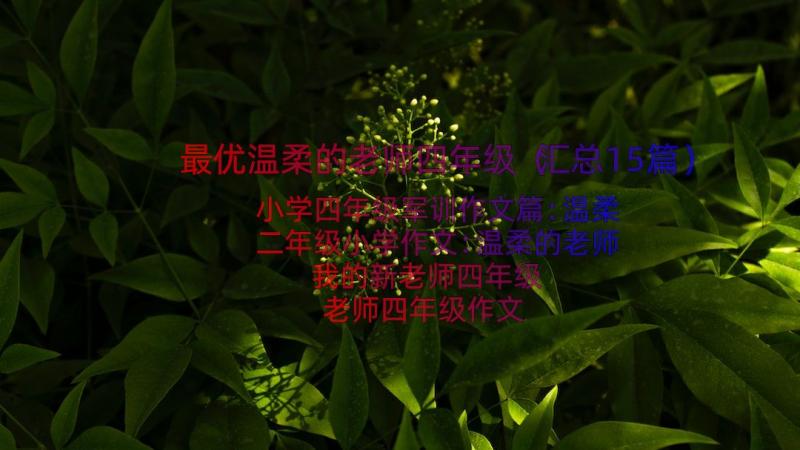 最优温柔的老师四年级（汇总15篇）