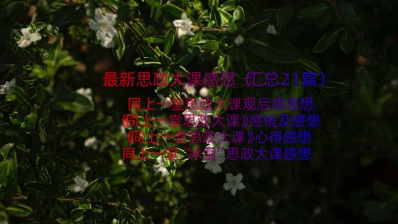 最新思政大课感想（汇总21篇）