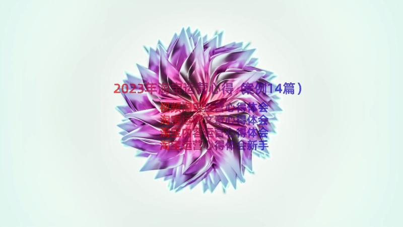 2023年淘宝运营心得（案例14篇）