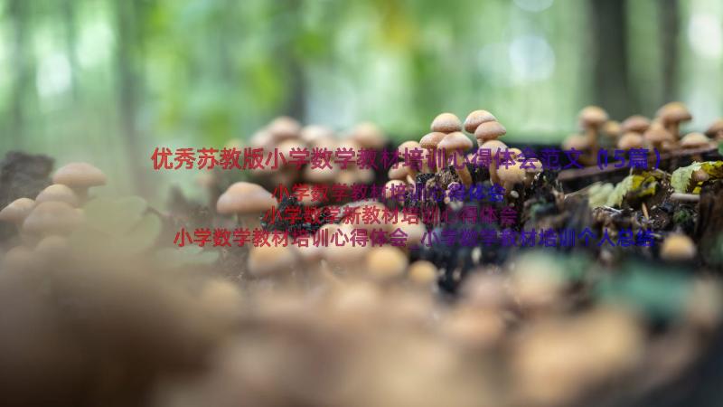 优秀苏教版小学数学教材培训心得体会范文（15篇）