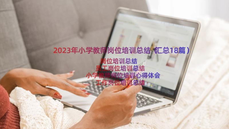 2023年小学教师岗位培训总结（汇总18篇）