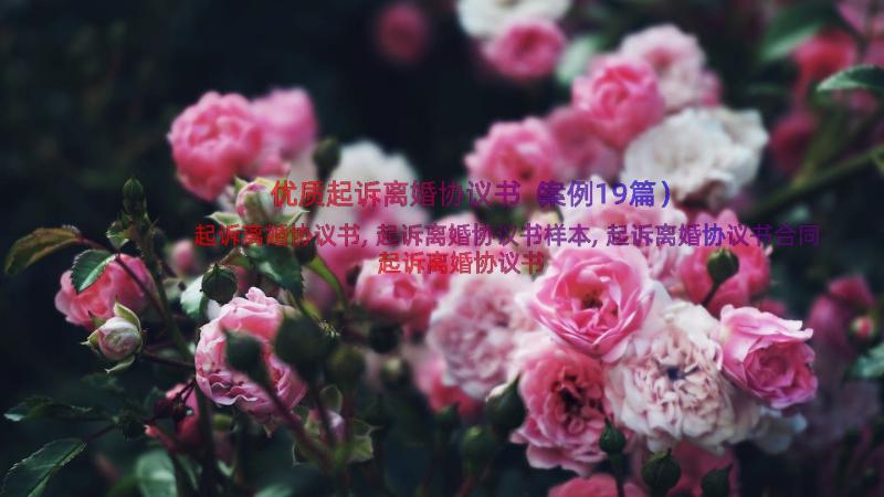 优质起诉离婚协议书（案例19篇）