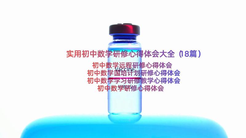 实用初中数学研修心得体会大全（18篇）