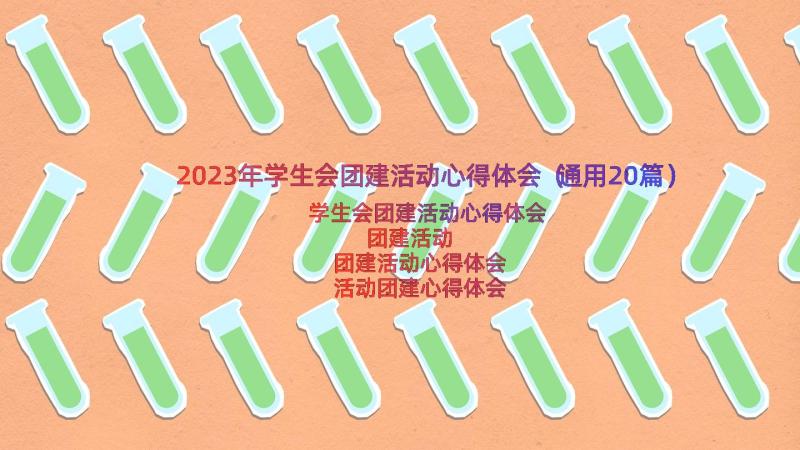 2023年学生会团建活动心得体会（通用20篇）