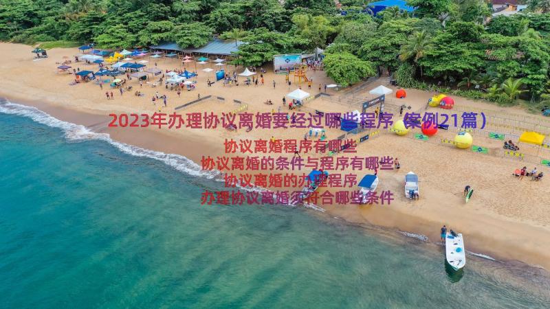 2023年办理协议离婚要经过哪些程序（案例21篇）