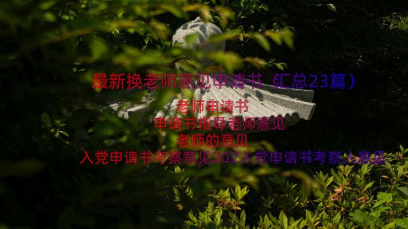 最新换老师意见申请书（汇总23篇）