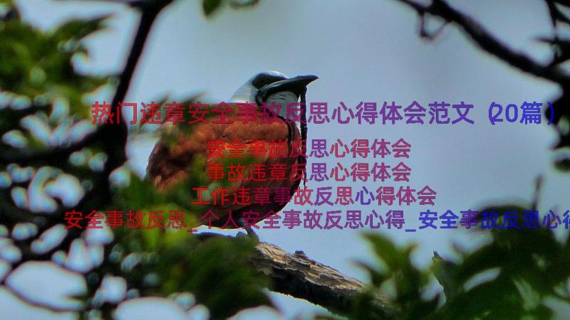 热门违章安全事故反思心得体会范文（20篇）