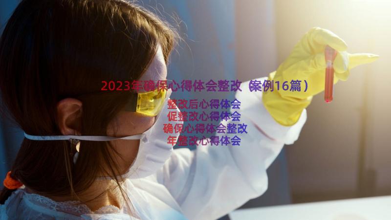 2023年确保心得体会整改（案例16篇）