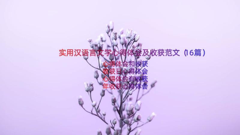 实用汉语言文学心得体会及收获范文（16篇）