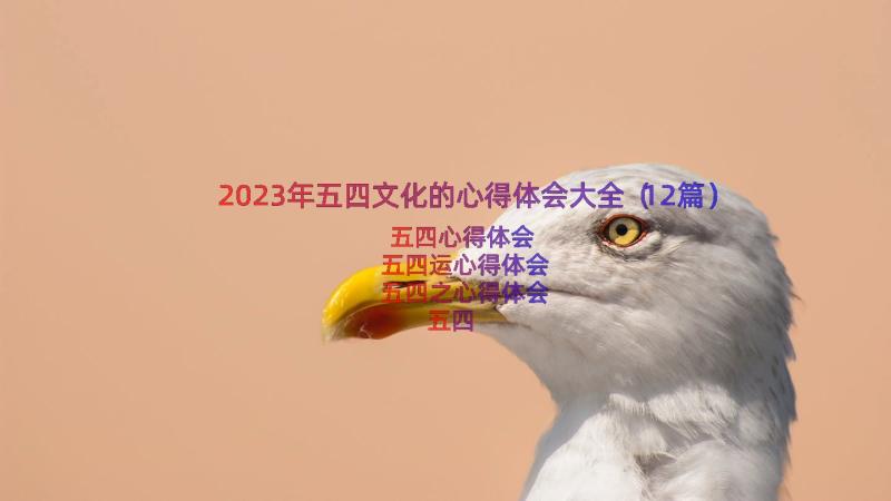 2023年五四文化的心得体会大全（12篇）