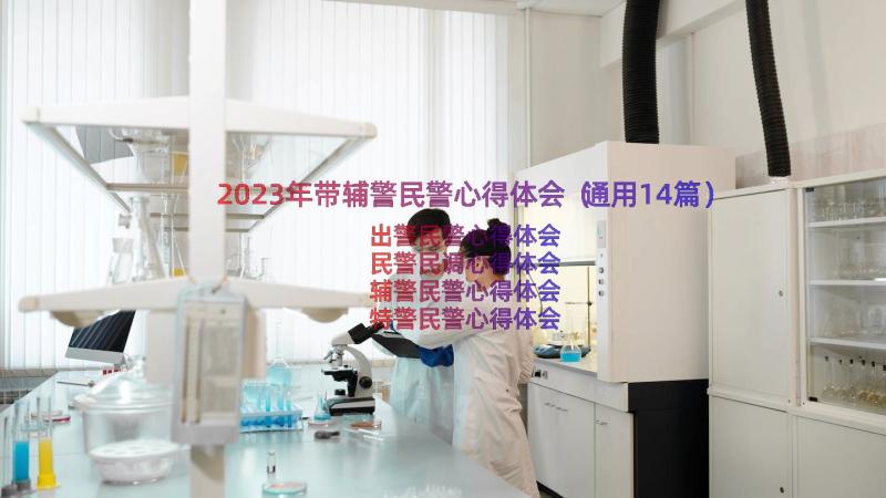 2023年带辅警民警心得体会（通用14篇）