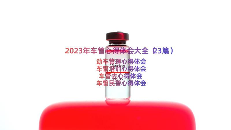 2023年车管心得体会大全（23篇）