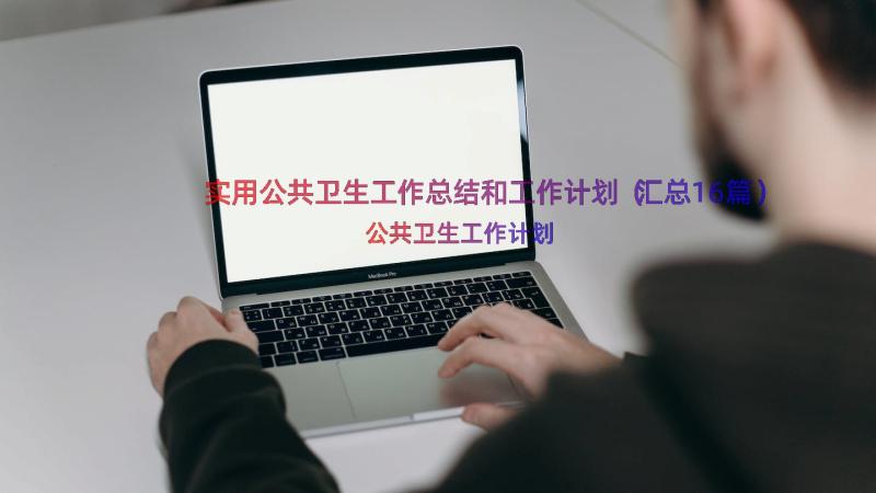 实用公共卫生工作总结和工作计划（汇总16篇）