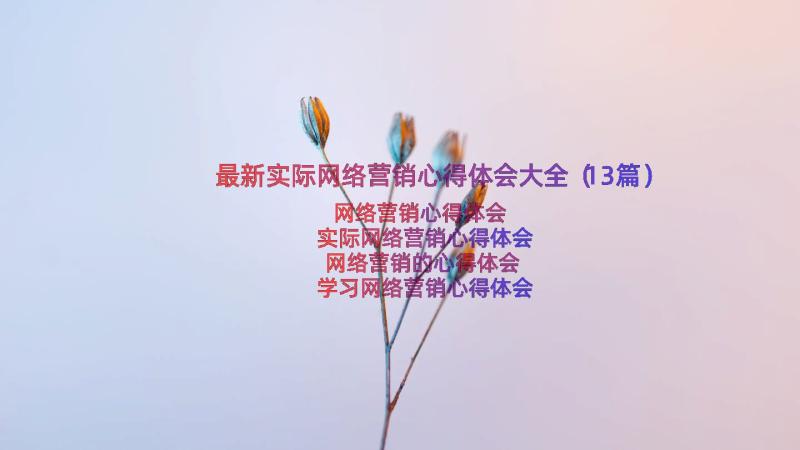 最新实际网络营销心得体会大全（13篇）