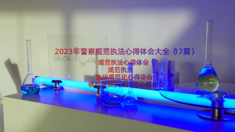 2023年警察规范执法心得体会大全（17篇）