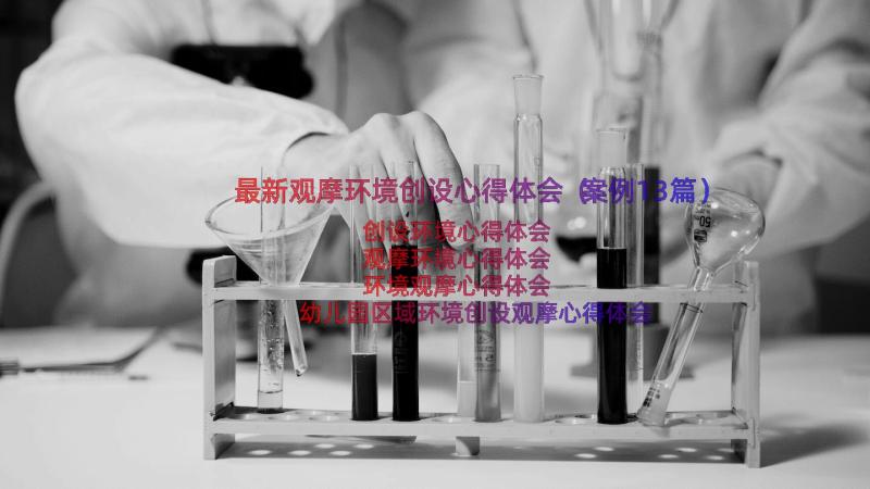 最新观摩环境创设心得体会（案例13篇）