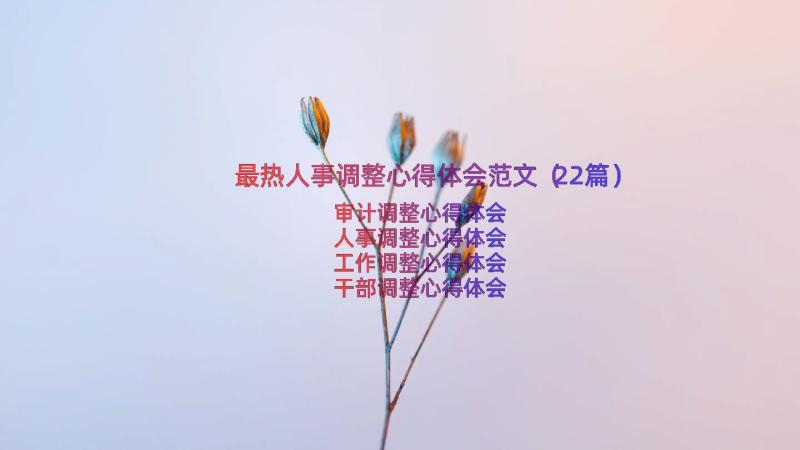 最热人事调整心得体会范文（22篇）