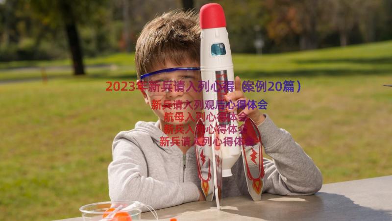 2023年新兵请入列心得（案例20篇）