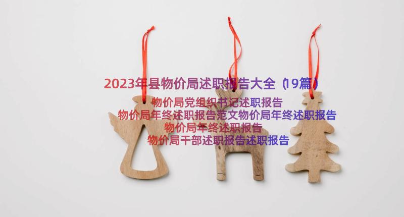 2023年县物价局述职报告大全（19篇）