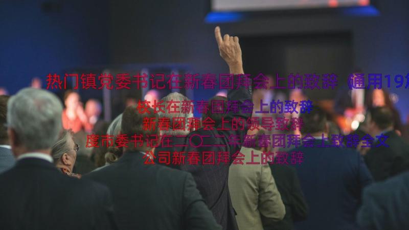 热门镇党委书记在新春团拜会上的致辞（通用19篇）