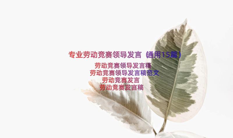 专业劳动竞赛领导发言（通用15篇）