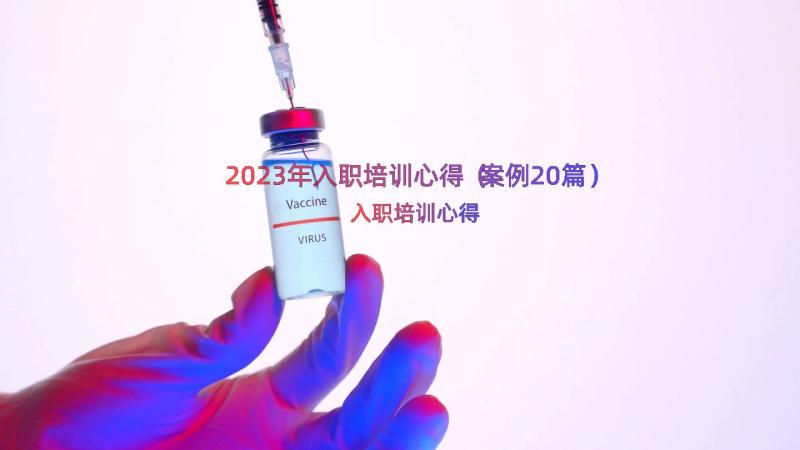 2023年入职培训心得（案例20篇）