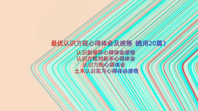 最优认识方程心得体会及感悟（通用20篇）