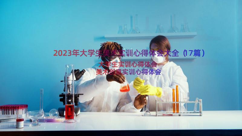 2023年大学生美术实训心得体会大全（17篇）