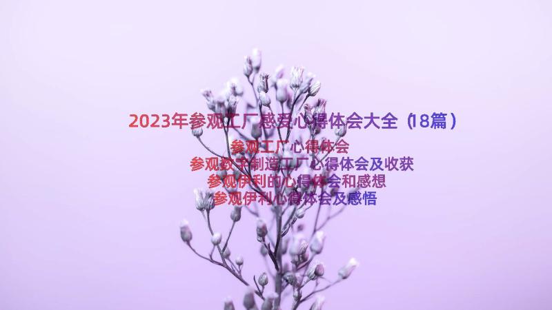 2023年参观工厂感受心得体会大全（18篇）