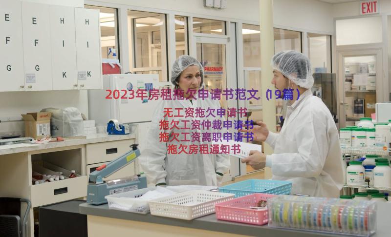 2023年房租拖欠申请书范文（19篇）